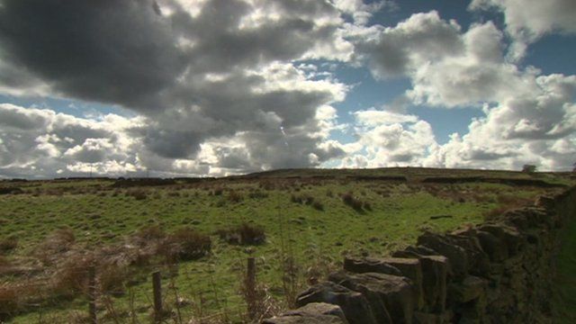 Thornton Moor