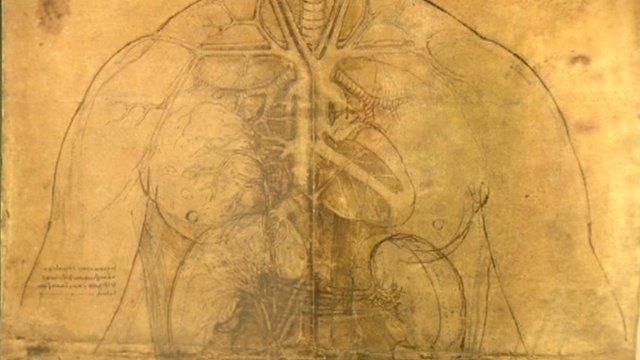 Leonardo illustration