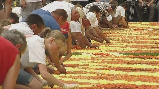 Volunteers lay Belgian flowers to create giant carpet inspired by Africa