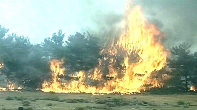 Wildfires in Greece