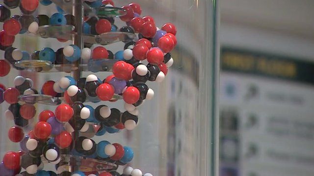 Scientists print human genome