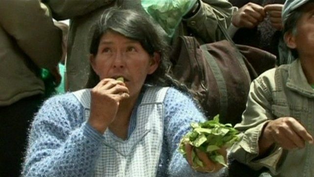 Woman chewing coca leaves