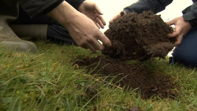 Night hawks dig up parts of ancient scheduled monuments in Wiltshire