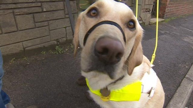 More than 30 people are waiting for guide dogs in Derbyshire and Nottinghamshire