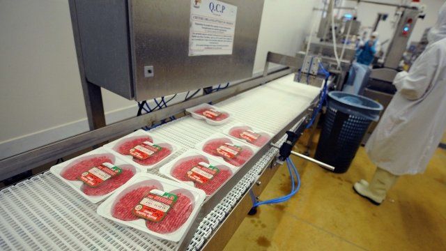 A French food industry employee working on the production chain of beef steaks.
