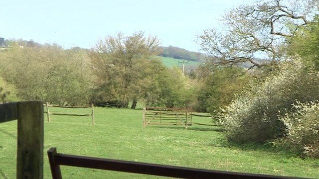 Lenham Heath meadow