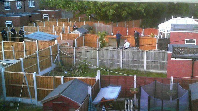 Clifford Clarke's garden