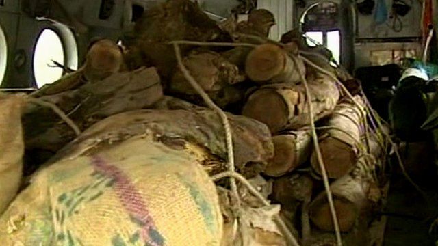 Wood is being distributed for cremations