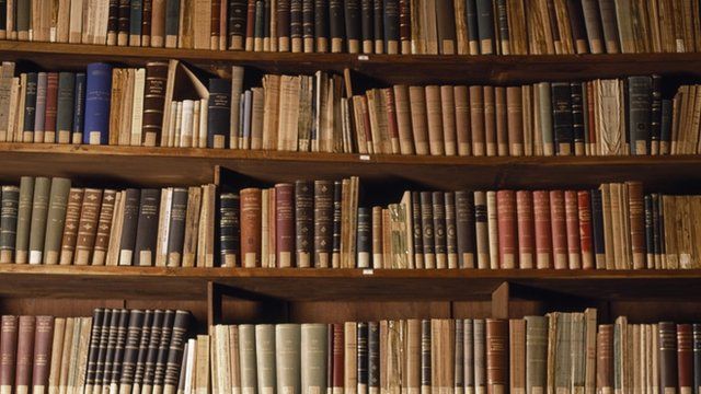 Books on bookcase shelves