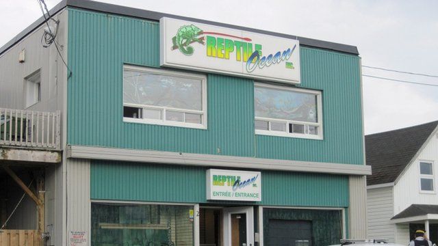 The Reptile Ocean shop