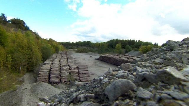 Lea Quarry, Wenlock Edge
