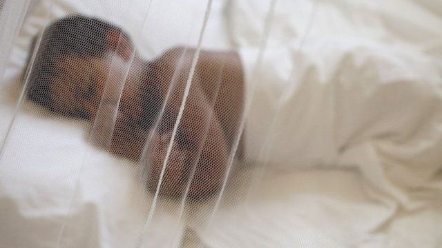 Mosquito net