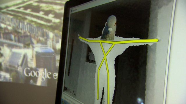 UCL's pigeon simulator