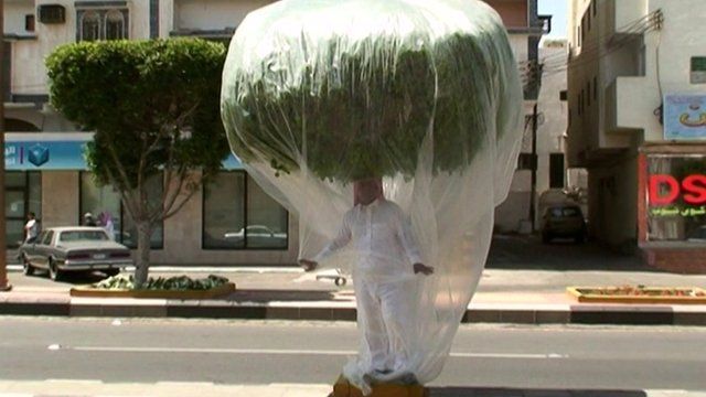 Gharem standing under a tree, covered in clear plastic, in the middle of the road