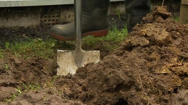 Digging for the school's capsule