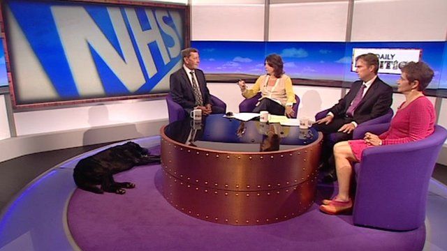Daily Politics panel