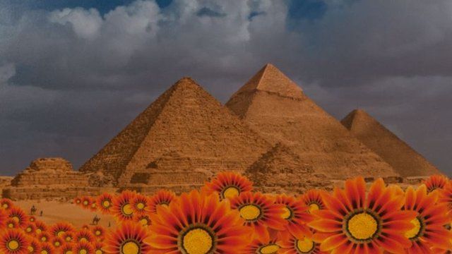 Egyptian pyramids with orange flowers in the foreground