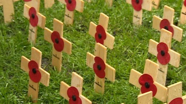 Remembrance poppies