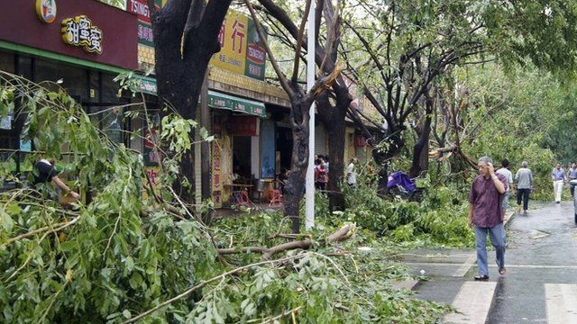 A man walks past fallen tree branches after typhoon Haiyan hit Sanya, Hainan province