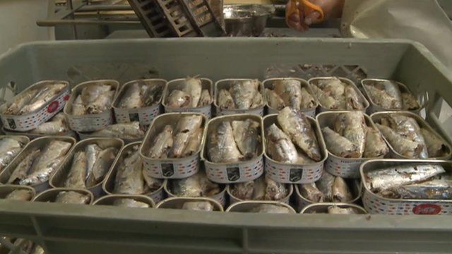 Tuna