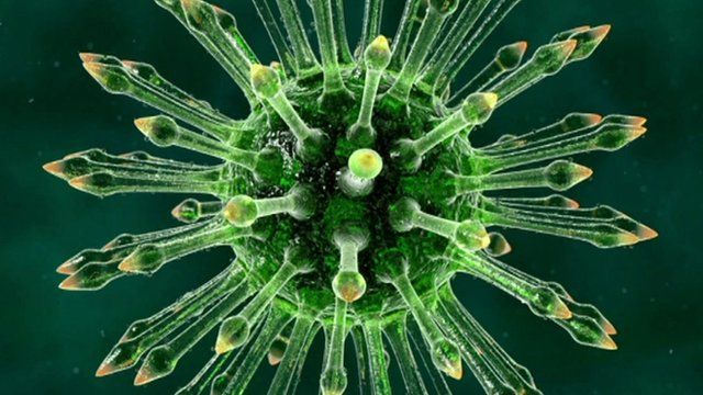 The HIV virus