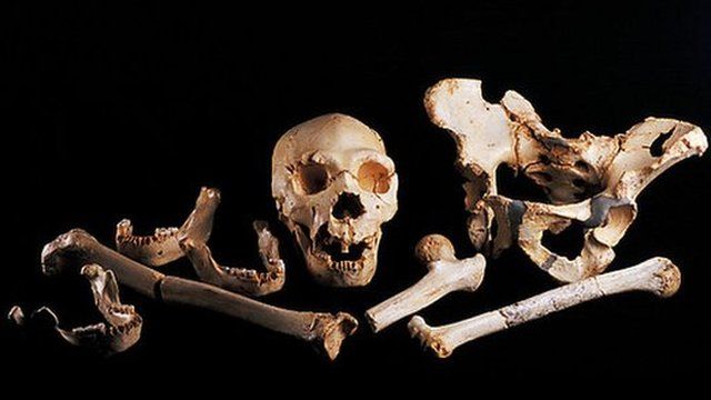 Sima de los Huesos remains