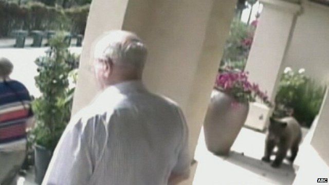 CCTV image of Scottish couple's encounter with bear