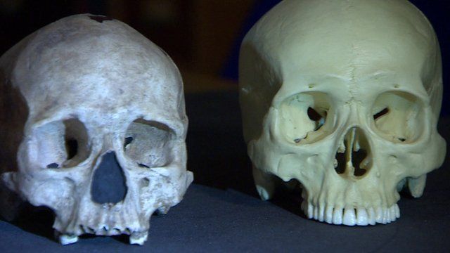 Skulls
