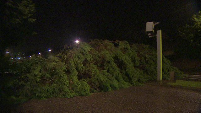 A fallen tree blocks a road