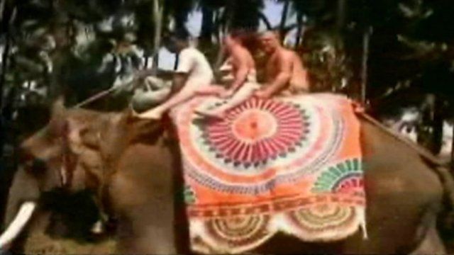 Stephen Worton filmed riding an elephant