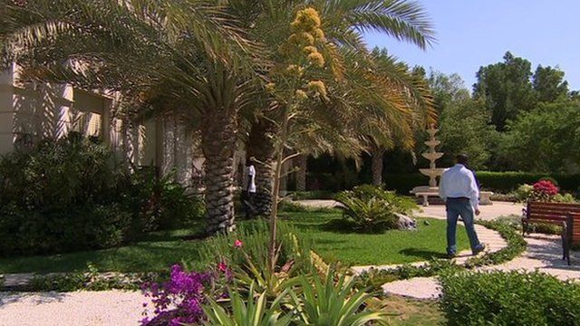 Kuwaiti garden