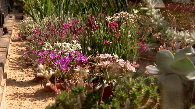 Botanic Gardens