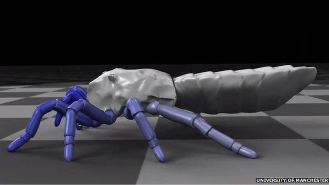 Graphic of an arachnid