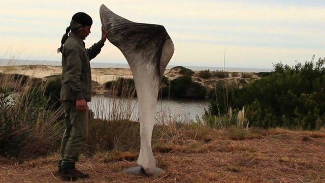 Sculptor Hamilton Coelho