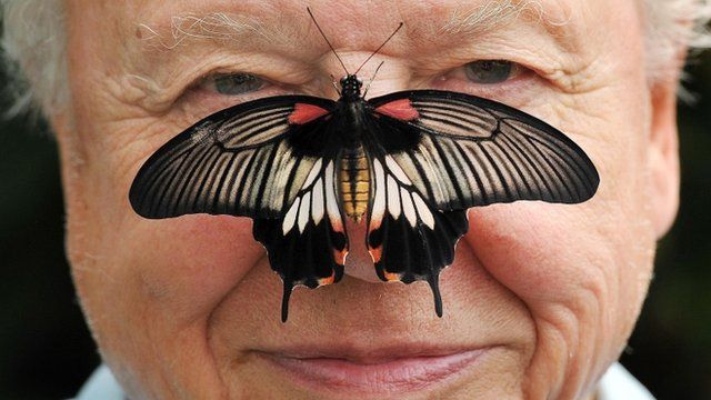 Sir David Attenborough