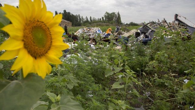 Scene of MH17 crash