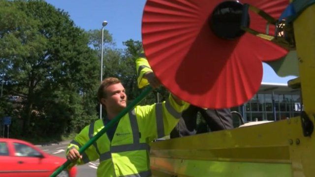 Giant poppy