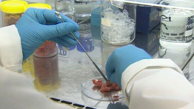 Food testing