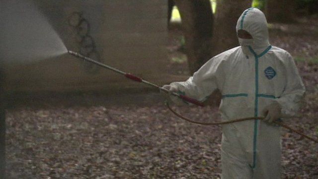 Person spraying Yoyogi Park for dengue Fever