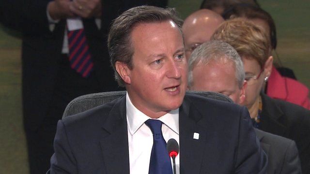 David Cameron at Nato summit
