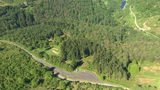 Cwmcarn forest