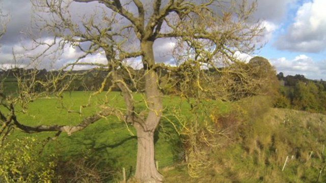 Forest of Bowland