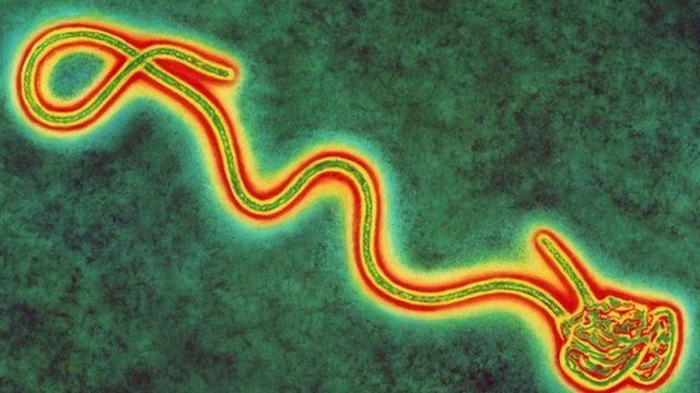 Ebola