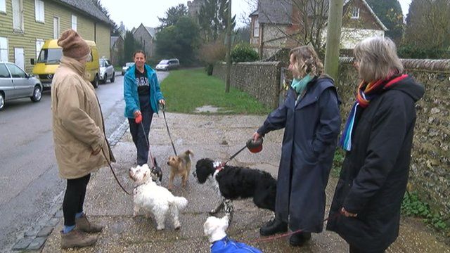 Sussex dog owners
