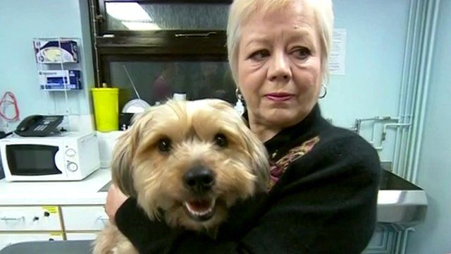 Dog owner Lorraine Jones and Frankie