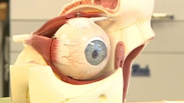 bionic eye to restore sight, newcastle scientists say