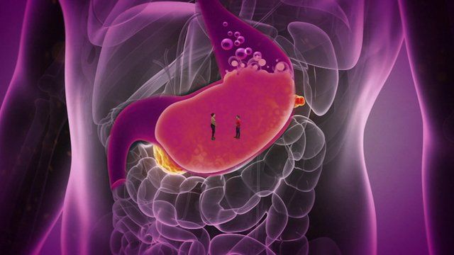 what-does-junk-food-do-to-your-body-cbbc-newsround