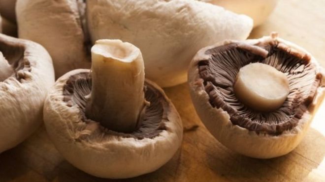 شواء الفطر أو طهيه بالميكروويف "أفضل صحيا"