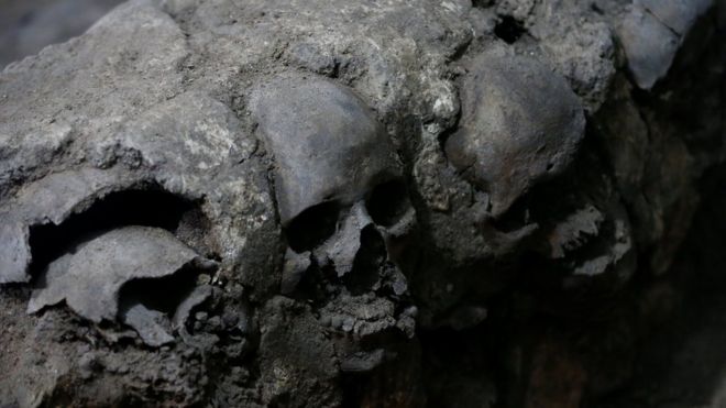 Los cráneos hallados en la excavación.