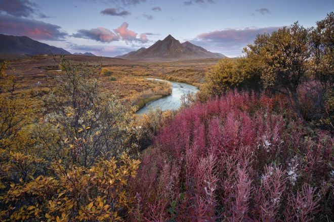 கனடாவின் யூக்கோன் எல்லையிலுள்ள டூம்ஸ்டோன் டெர்ரிடோரியல் பூங்காவோடு உள்ள பார்வையில் ஆண்ட்ரியா போஸ்ஸி எடுத்த இந்தப் புகைப்படம் ஒரு பிரிவில் முதலிடம் பிடித்தது.